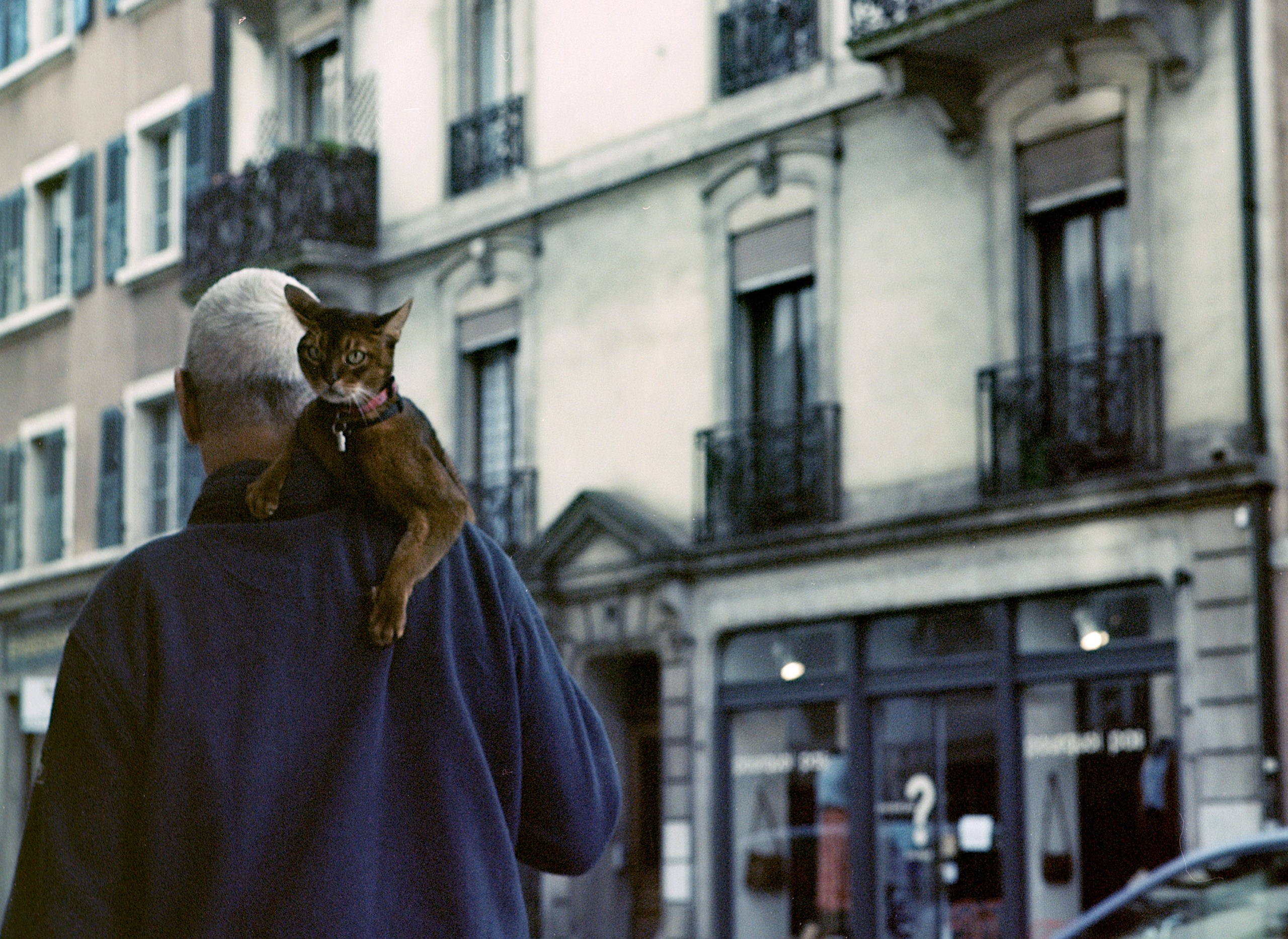 A age man waking on the street with his cat carry on one's shoulder